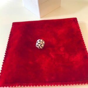 Pandora charm